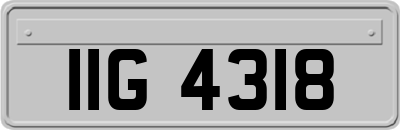 IIG4318