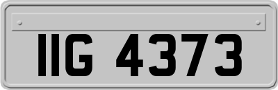IIG4373