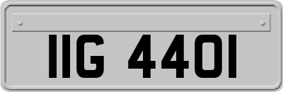 IIG4401