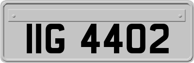 IIG4402