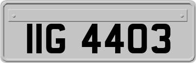 IIG4403