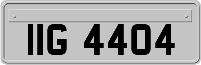 IIG4404