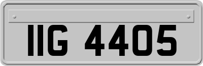 IIG4405