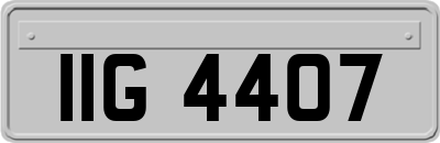 IIG4407