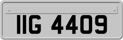IIG4409