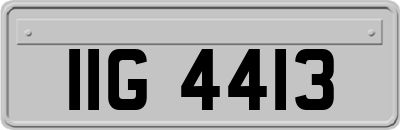 IIG4413