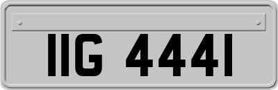 IIG4441