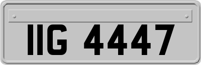 IIG4447