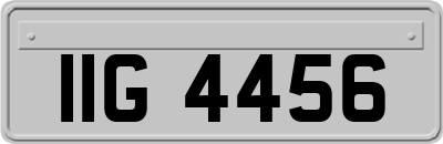 IIG4456