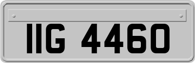 IIG4460
