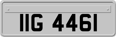 IIG4461