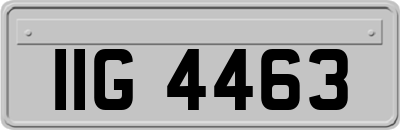 IIG4463