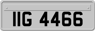 IIG4466