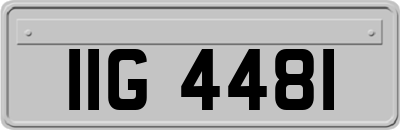 IIG4481