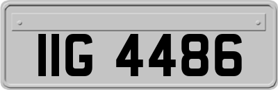 IIG4486