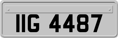 IIG4487