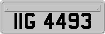 IIG4493