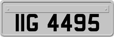 IIG4495