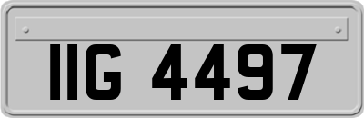 IIG4497
