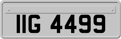 IIG4499