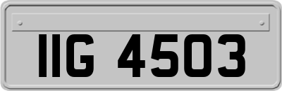 IIG4503