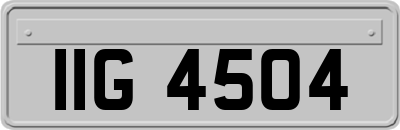 IIG4504