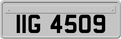 IIG4509
