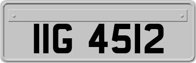 IIG4512