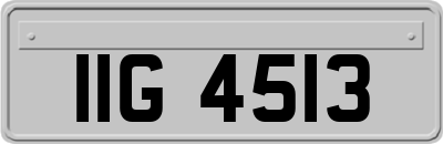 IIG4513
