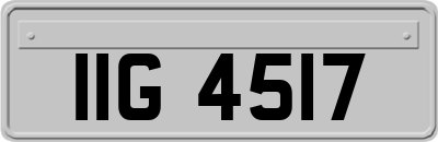 IIG4517