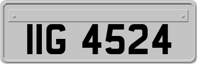 IIG4524