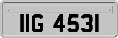 IIG4531
