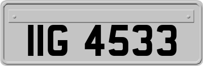 IIG4533