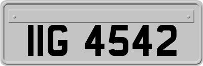 IIG4542