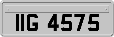 IIG4575