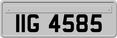 IIG4585