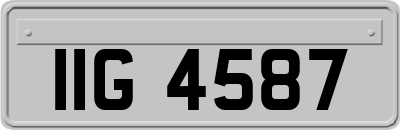 IIG4587