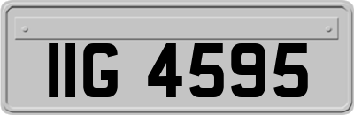 IIG4595