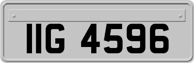 IIG4596
