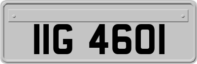 IIG4601