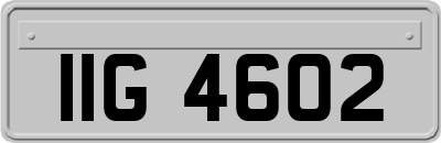 IIG4602