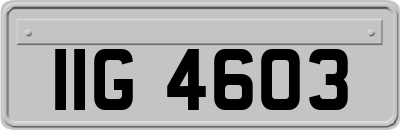 IIG4603