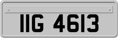 IIG4613