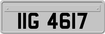IIG4617