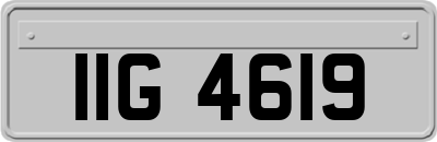 IIG4619