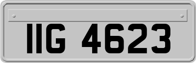 IIG4623