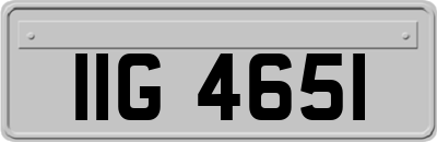 IIG4651