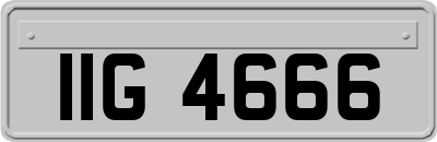 IIG4666
