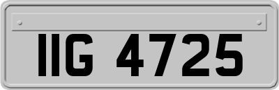 IIG4725