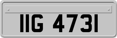 IIG4731